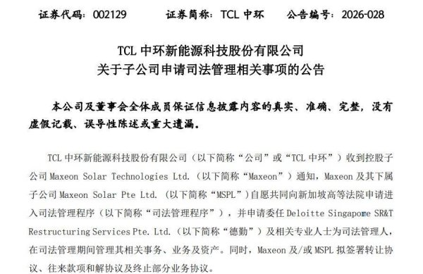 重金投资加码，终成负资产！TCL中环海外光伏子公司申请司法管理